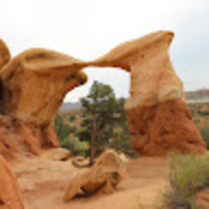 Meet your Posher, Sheldon